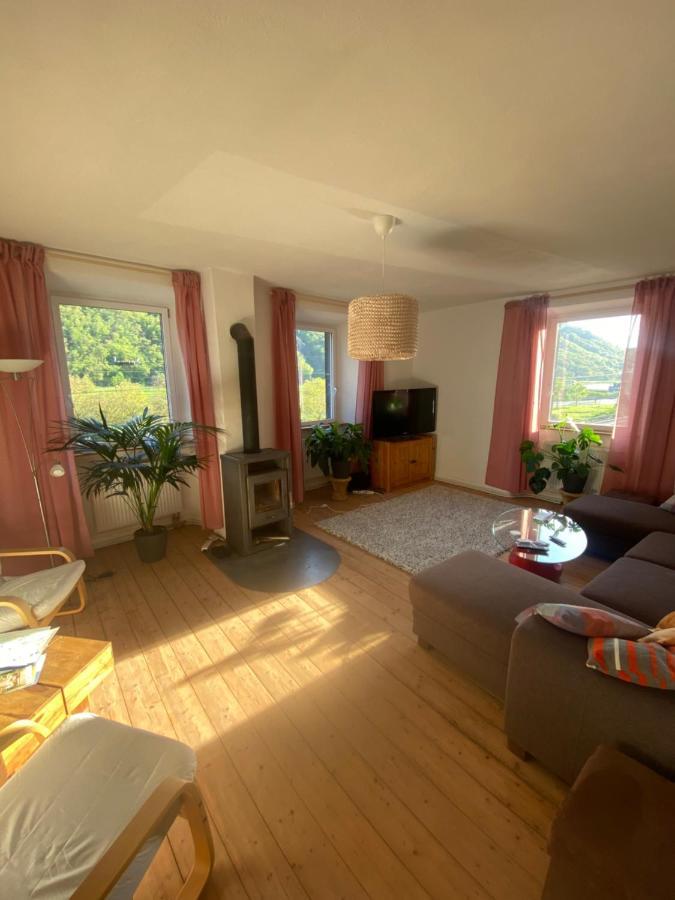 Villa Helles, Gemuetliches Haus Mit Moselblick Müden Esterno foto